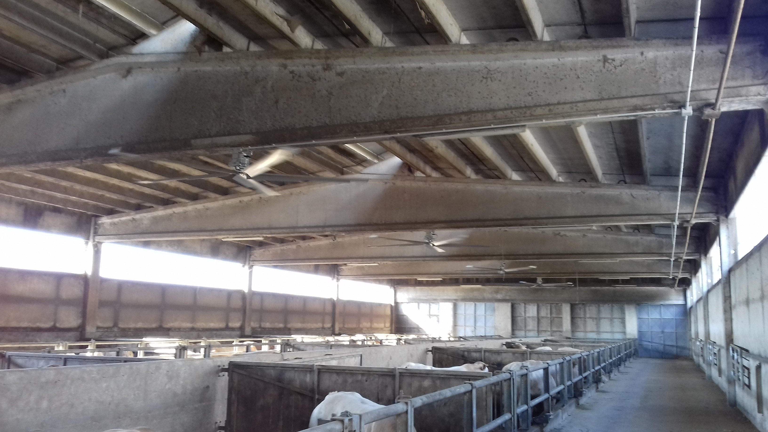 Installazione Ventole Benevagenna